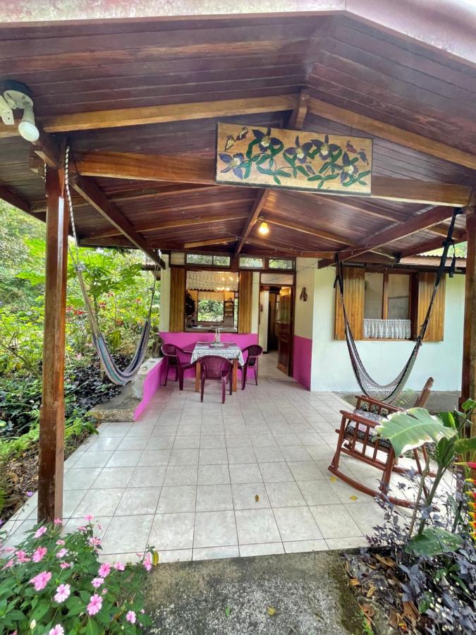 Finca Isla Rainforest Retreat Aguas Zarcas Exterior foto