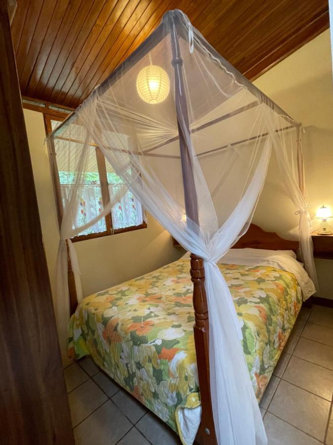 Finca Isla Rainforest Retreat Aguas Zarcas Exterior foto