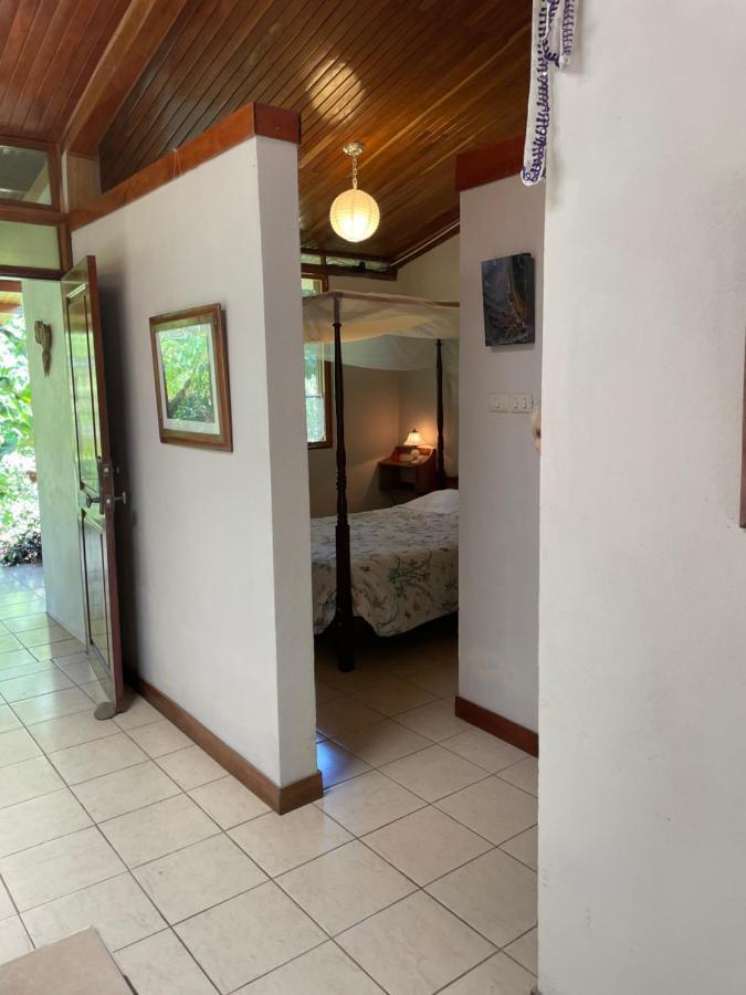 Finca Isla Rainforest Retreat Aguas Zarcas Exterior foto