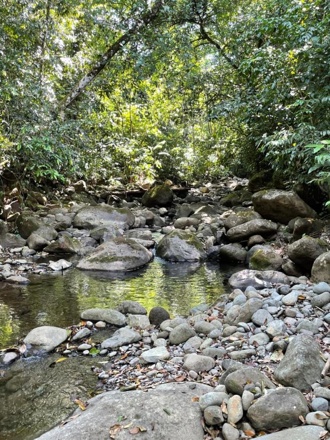 Finca Isla Rainforest Retreat Aguas Zarcas Exterior foto