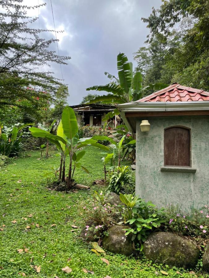Finca Isla Rainforest Retreat Aguas Zarcas Exterior foto