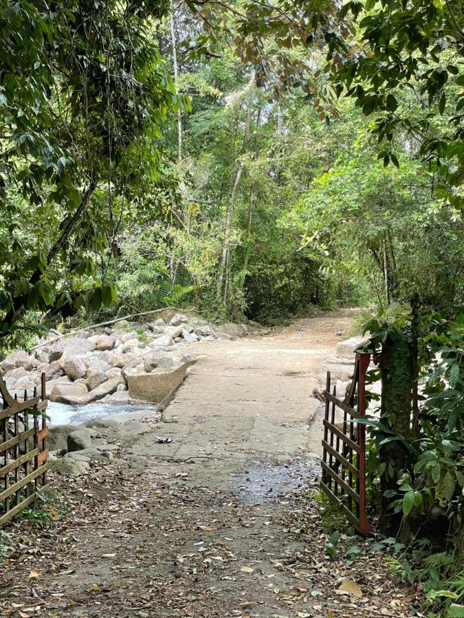 Finca Isla Rainforest Retreat Aguas Zarcas Exterior foto