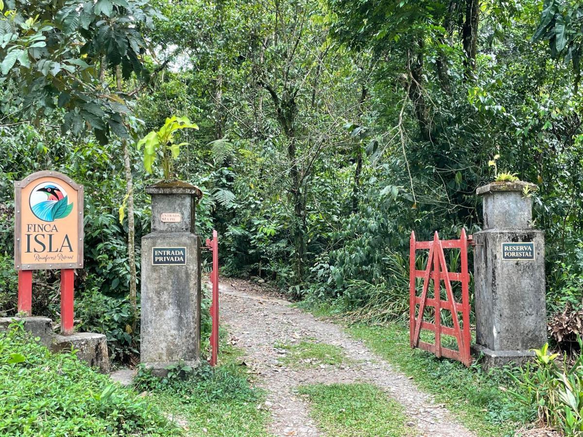 Finca Isla Rainforest Retreat Aguas Zarcas Exterior foto
